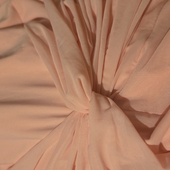 Bardot Lea Drop-Waist Mesh Maxi Blush Long Sleeve Dress, Retail $189.00US - Picture 11 of 16